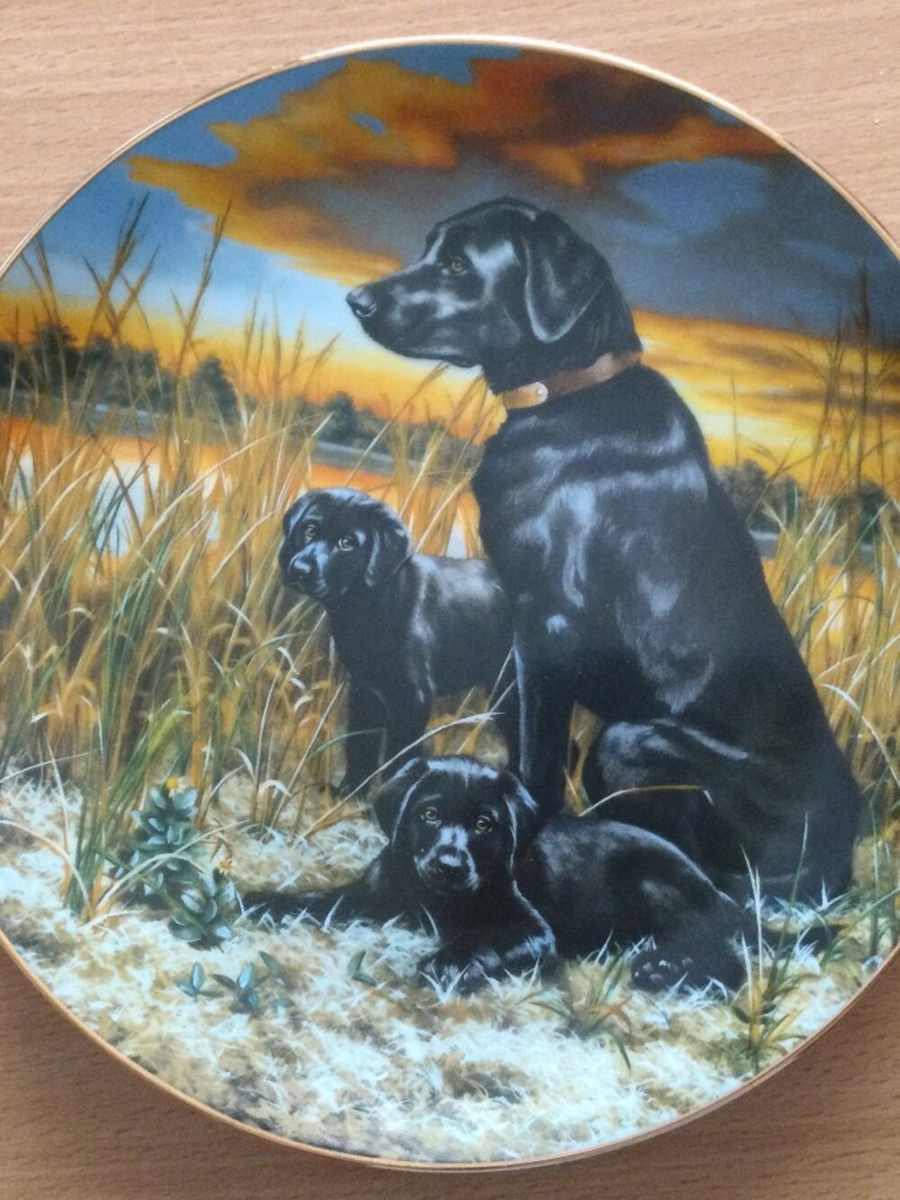 Labrador Retrievers Robert Christie classic Sporting dogs 14 firing days 8"
